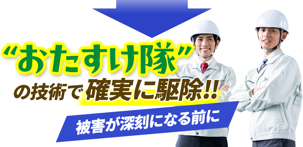 おたすけ隊の技術で確実に駆除！被害が深刻になる前に