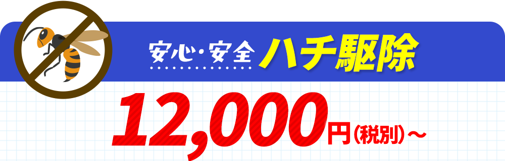安心・安全ハチ駆除 12,000円〜（税別）