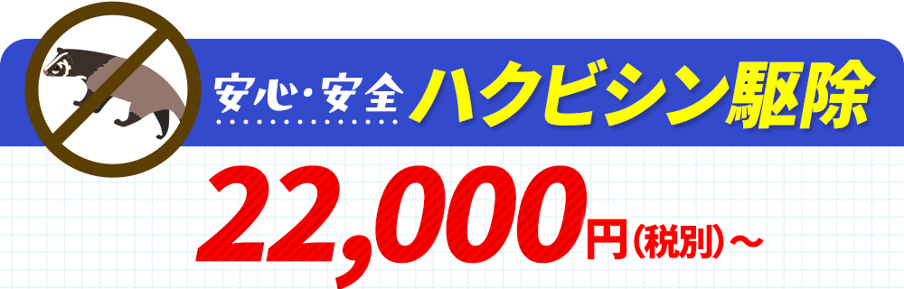 安心・安全ハクビシン駆除 22,000円〜（税別）