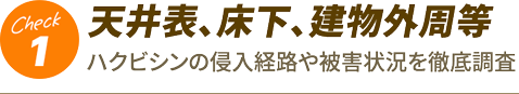 1.天井表、床下、建物外周等