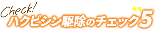 ハクビシン駆除のチェック5