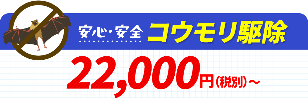 安心・安全コウモリ駆除 22,000円〜（税別）