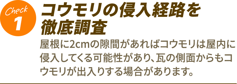 1.コウモリの侵入経路を徹底調査