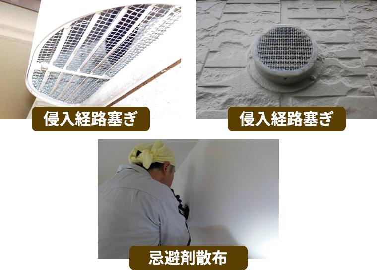 侵入経路塞ぎ 忌避剤散布