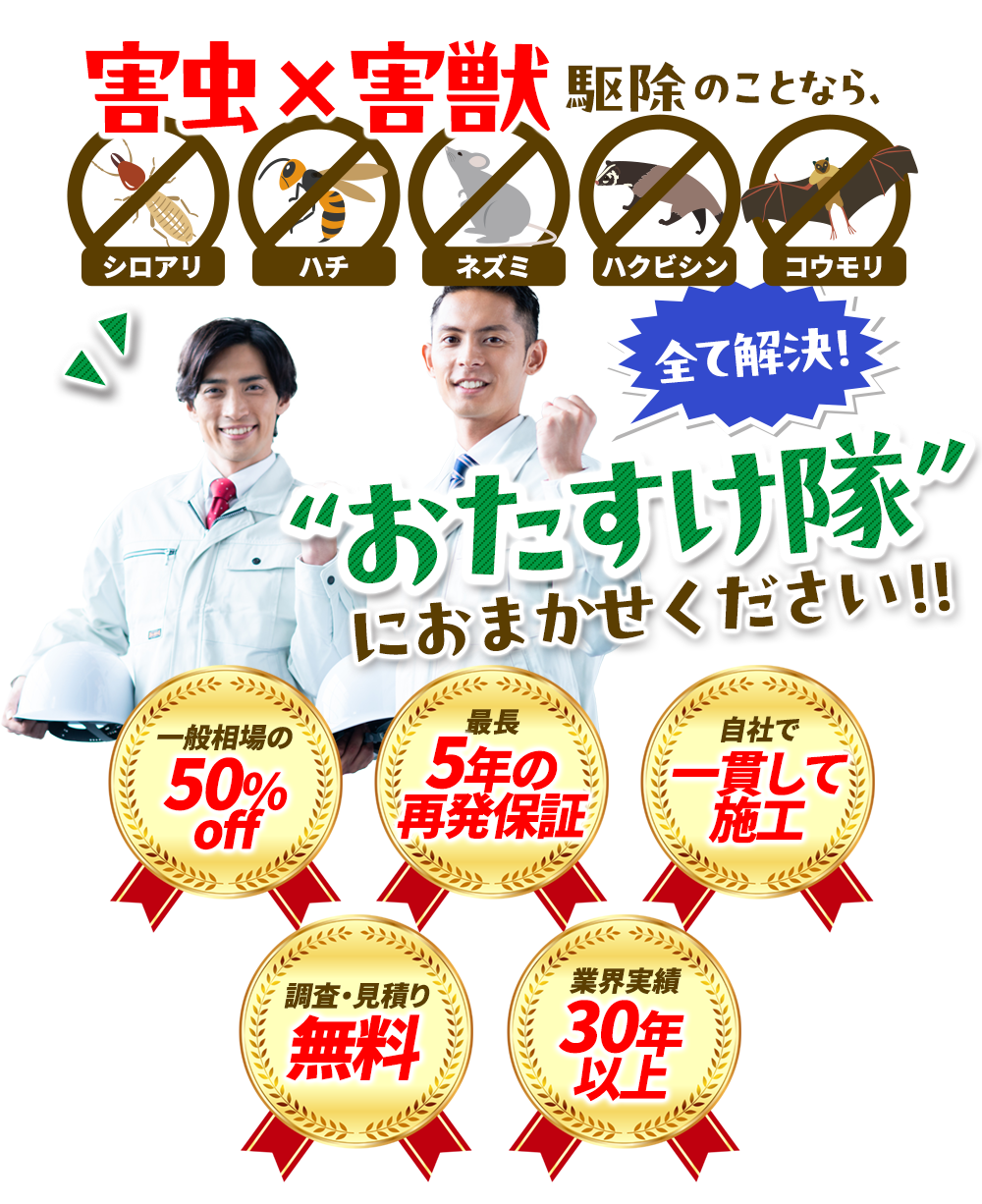 害虫駆除×害獣駆除のことなら、おたすけ隊におまかせください！