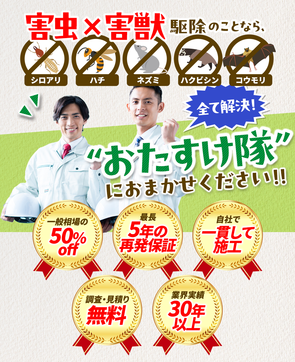 害虫駆除×害獣駆除のことなら、おたすけ隊におまかせください！