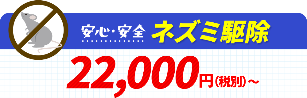 安心・安全ネズミ駆除 22,000円〜（税込）